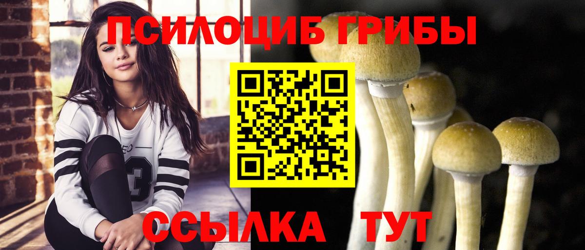 Псилоцибиновые грибы Psilocybe  Псилоцибиновые грибы GOLDEN TEACHER  Вход с VPN  Тверь 